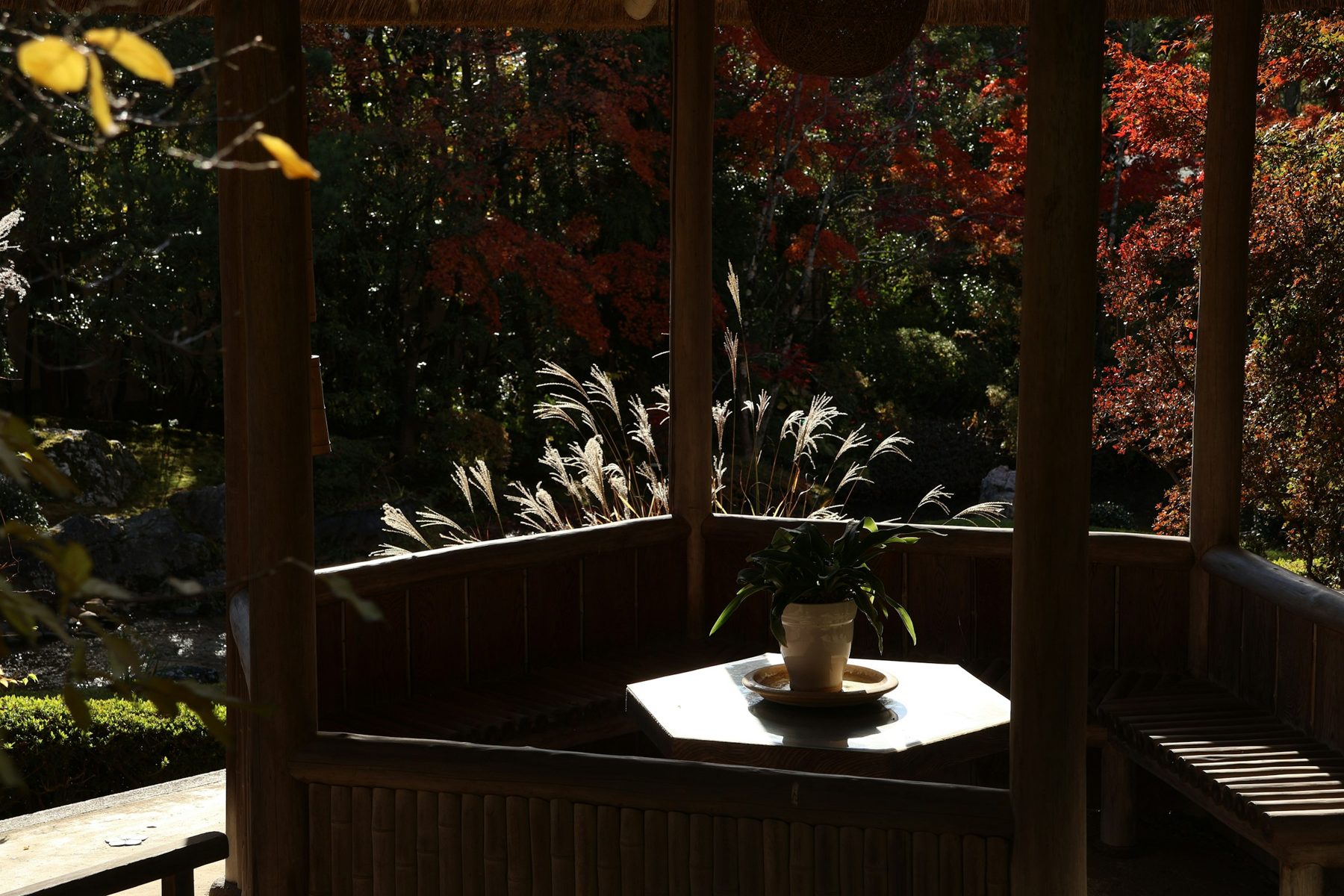 紅葉を見下ろす、東屋のテーブル