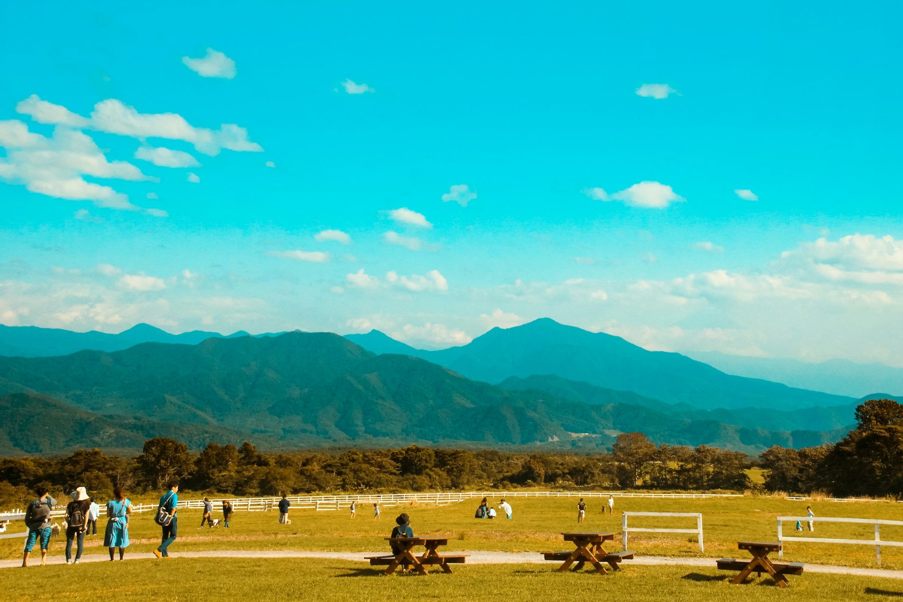 山を望む草原で過ごす人たち
